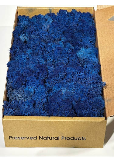 Reindermoss Şoklanmış Norveç Yosunu Terarium Yosunu Mavi 500 Gr.