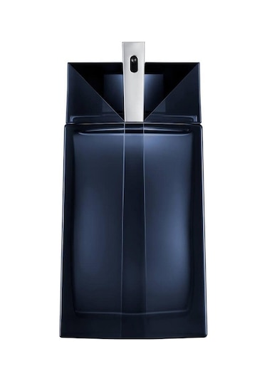 Thierry Mugler Alien Man Erkek Parfüm EDT 100 ML