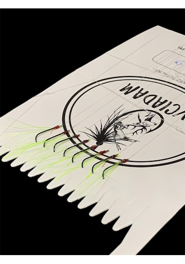 Tirsi & Kolyoz Çaparisi 8li Kıyı