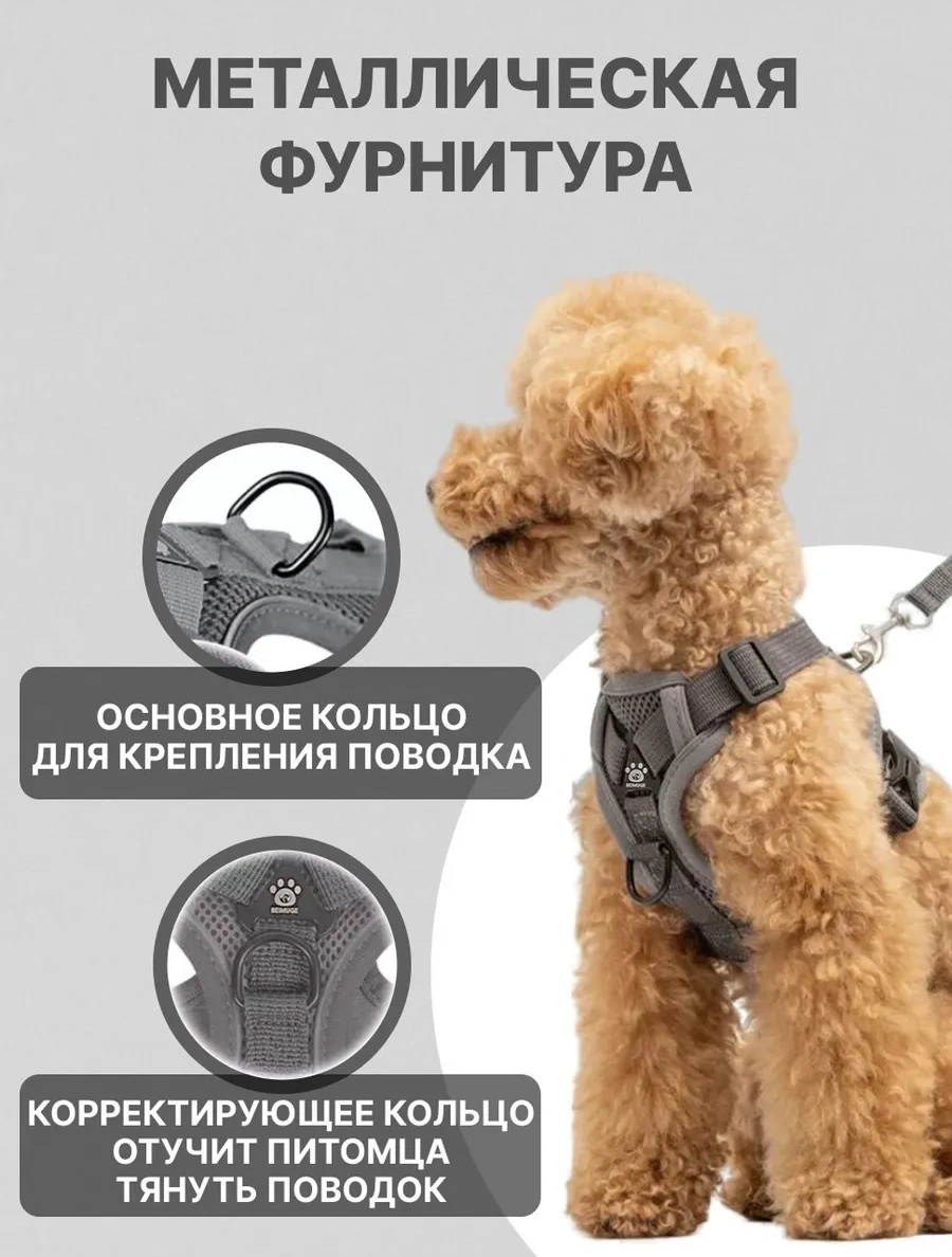 Tori Küçük Ve Orta Irklar İçin Tasmalı Köpek Kayışı Ve Kedi Şeridi 417711600