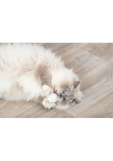 Trixie Kedi Oyuncağı, Dondurma Ve Kek Şeklinde, Peluş, Kediotlu 7cm