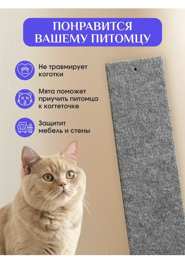 Anıjoy Tırmalama Tahtası İçin Kediler 239615311