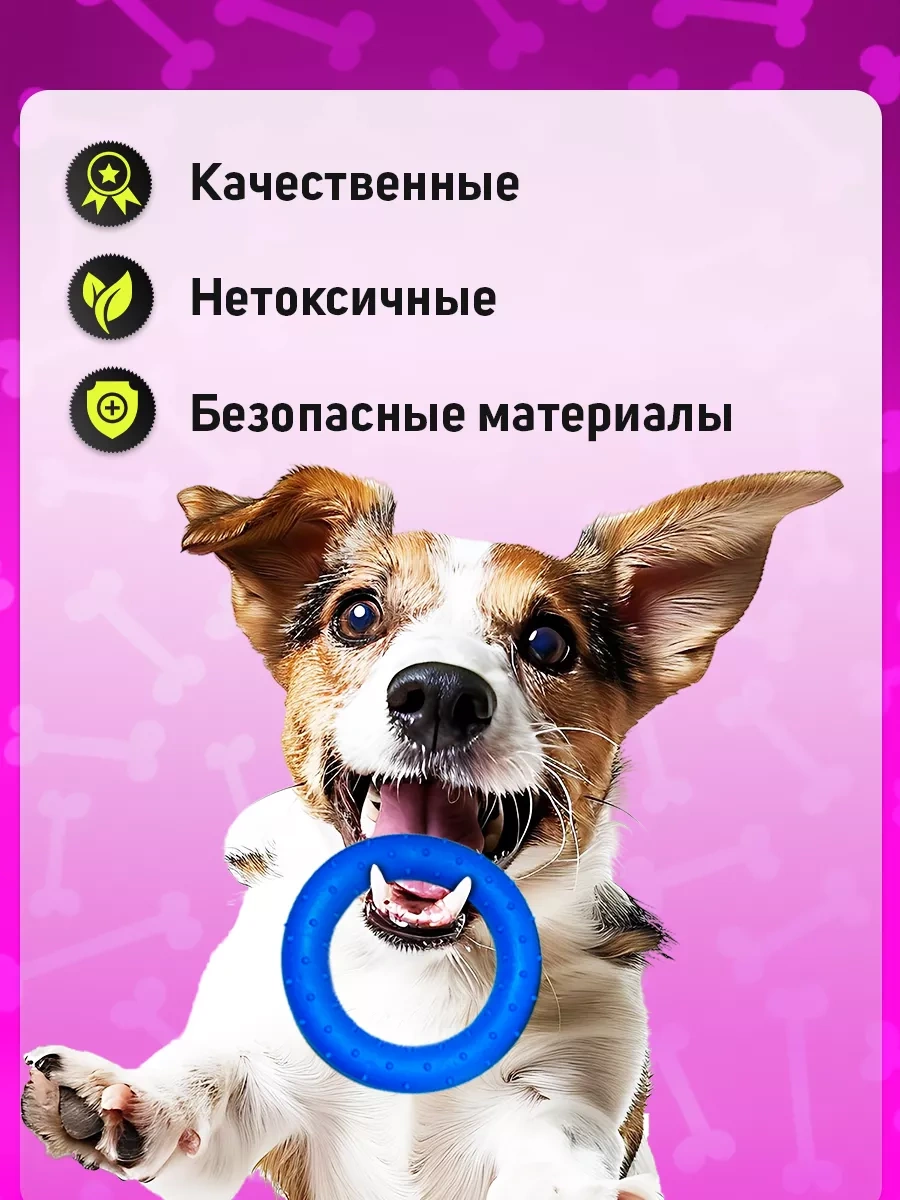 Tooth For Tooth Köpekler İçin Oyuncak Seti 247504935