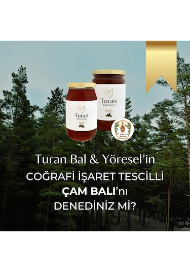 Turan Bal ve Yöresel Çam Balı 1410 G