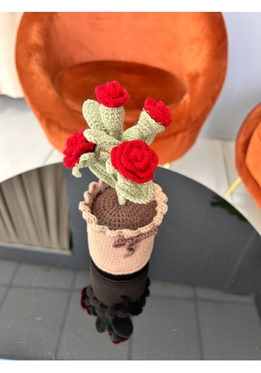 El Yapımı Örgü Saksılı Gül - Yeni İş Hediyesi - Özel Gün Hediyesi
