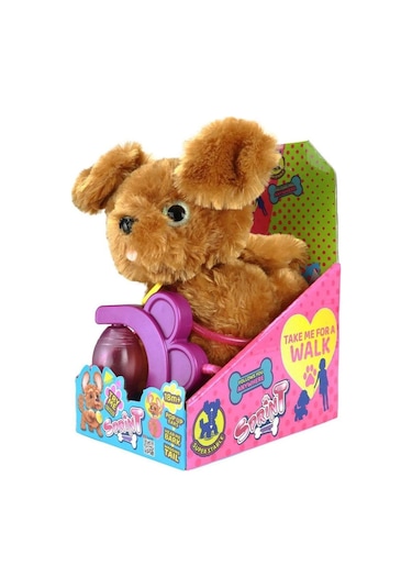 Sevimli Koşu Arkadaşım Golden Çok Renkli