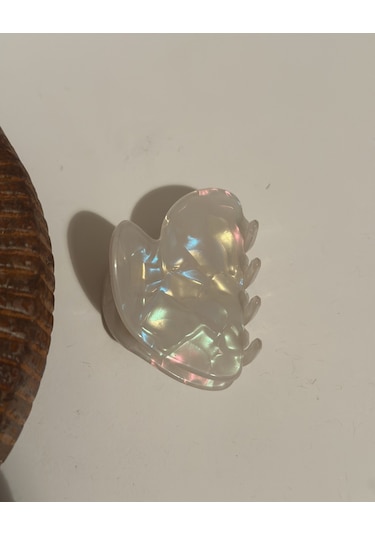 Mini Nacreous Kemik Mandal Toka Çok Renkli