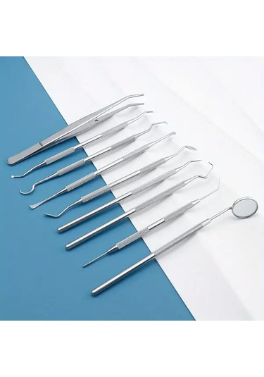 Willowhaven 9 Parçalı Profesyonel Diş Temizleme Seti Paslanmaz Çelik Evcil Ve Yetişkin Hayvanlar İçin