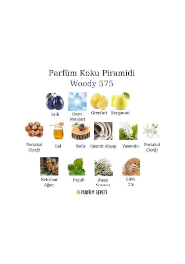 561 Fresh 50 Ml Edp Erkek Parfüm + 575 Woody 50 Ml Edp Erkek Parfüm Ferah