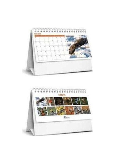 Keskin Color 2026 Karton Üçgen Masa Takvim Kuşlar Mtk-821