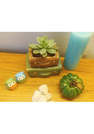 Artepieza Vintage Çift Bavul Saksı- Masaüstü Düzenleyici- Dekoratif Bavul Kalemlik Yeşil-kahve 12 8 1 Adet