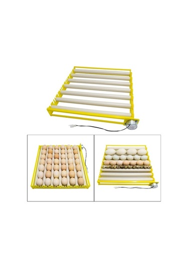 Pazly Yumurta Tüpleri Tepsi Suntek Ördek Kaz İnkübatör Uyumlu 7 Li