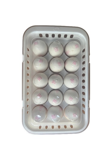 Way-036 Yumurta Saklama Kabı 15 Li Plastik Gri Diğer