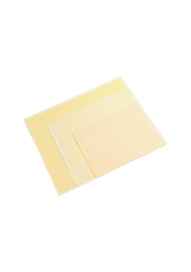 Geeroyoo Orman Bahçe Sebze Bahçesi İçin 20x25cm Sarı Çift Taraflı Tutkal Trapları - 20 Adet + Rastgele Renkli Bağlama İpi