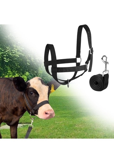 Homyl Bull Bridle Head Harness Supply Naylon İnek Yular M Siyah