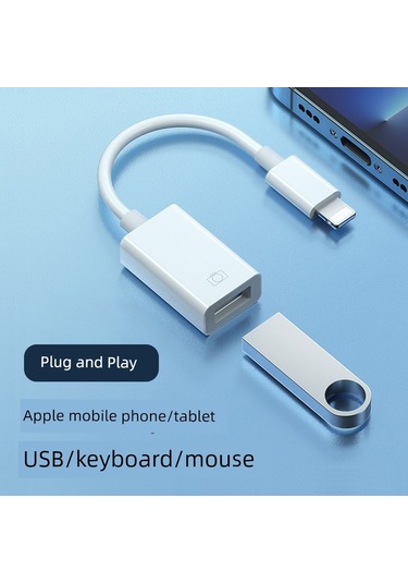 Mini Siyah Lightning Usb Otg Adaptör Kablo Um34826-4 Yurt Dışından