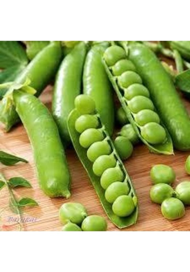 200 Adet Tohum Organik Geleneksel Bezelye Tohumu Sebze Tohumu