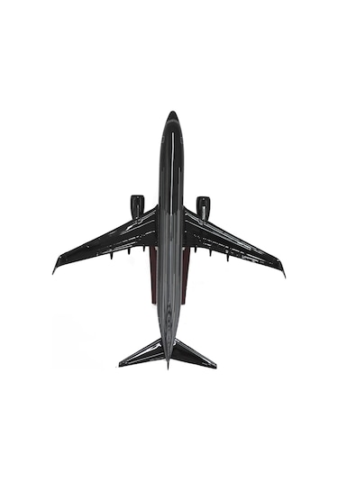 Zekupp Boeing 737-800 1/100 Siyah Çok Çizgili Tasarım Model Uçak