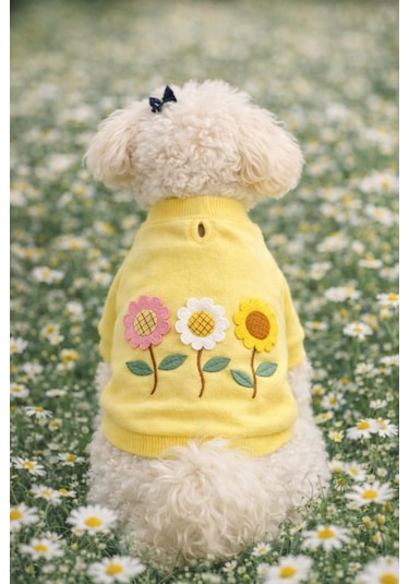 Gedyco Daisy Yellow İçi Polarlı Küçük Irk Köpek Sweatshirtü