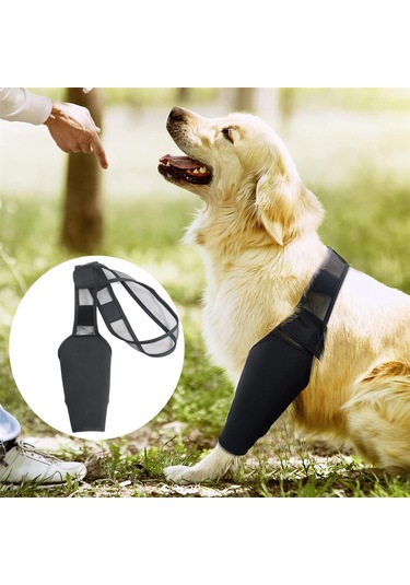 Homyl Köpek Arka Bacak Hock Koruyucu Kılıf Yaraları Korur M