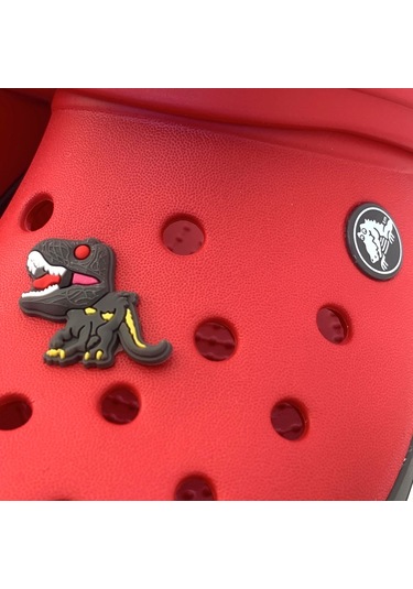 Crocs Terlik Süsü & Renkli Aksesuar Jibbitz (474782398)