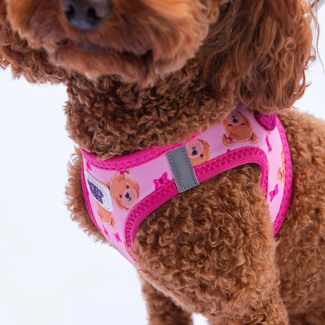 Teddy Club Göğüs Tasması Ve Sevk Kayışı Tasma Seti Ayıcıklı Kedi Köpek Göğüs Tasması Seti Pembe