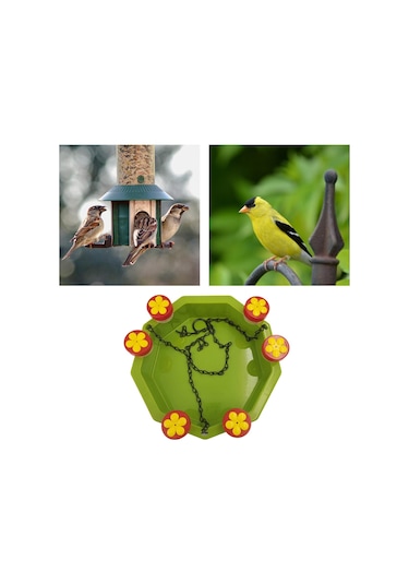 Suntek Arka Bahçe Açık Dekor Için Sinek Kuşu Besleyici