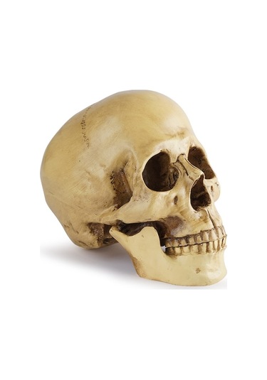 Tıbbi Reçine Kafatası Heykeli, Halloween Dekorasyonu, Ressamlık Ve Eğitim Aracı, Renkli Boyalı, Rs-133 Modeli