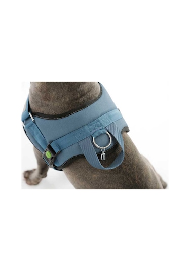 Belden Köpek Tasması Maestro 2.0 S  45-60 cm x 15 mm Mavi