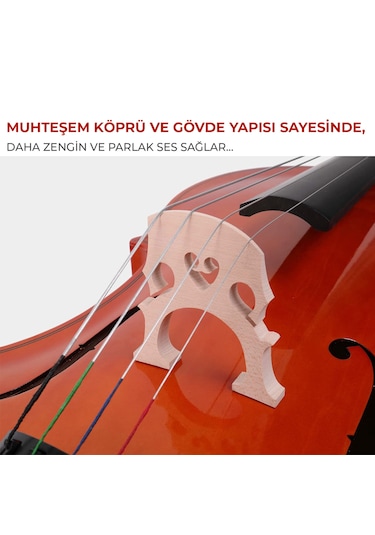 Maxword Mcl-250 Yüksek Kaliteli Masif Ağaç Çello Viyolonsel