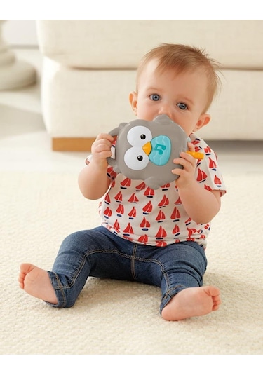 Fisher Price 3'ü 1 arada Baykuş Dönence CDM84