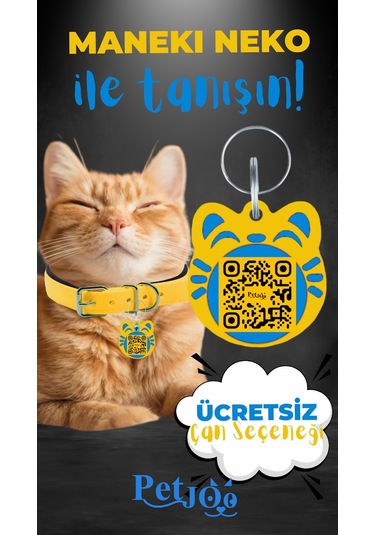Petjoo 4.Maneki Neko Mavi-Sarı Qr'lı Kedi Künyesi