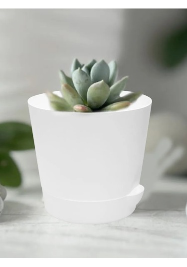 Interm Küçük Kaktüs Saksısı, Tabaklı, Saksı Seti 0,4 L 362274406