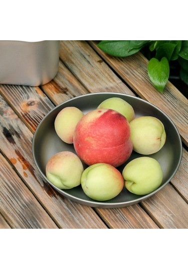 Tongxida Titanyum Tabak, Yemek-meyve Sebze İçin, Hafif Ve Korozyona Dayanıklı, Ev Ve Dış Mekan Kullanıma Uygun, Büyük Boy L, R Çok Renkli