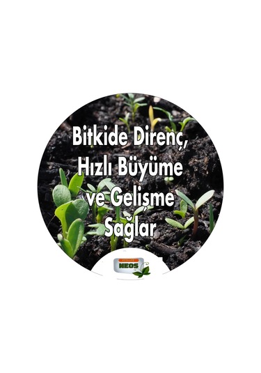 Neos Çiçek Coşturan / Bitki Besini Çiçekli Bitkilere Özel