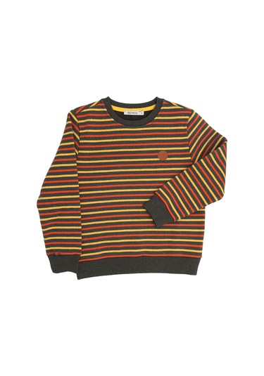 Erkek Çocuk Recycle Pamuk Çizgili Sweatshirt 001 Çok Renkli