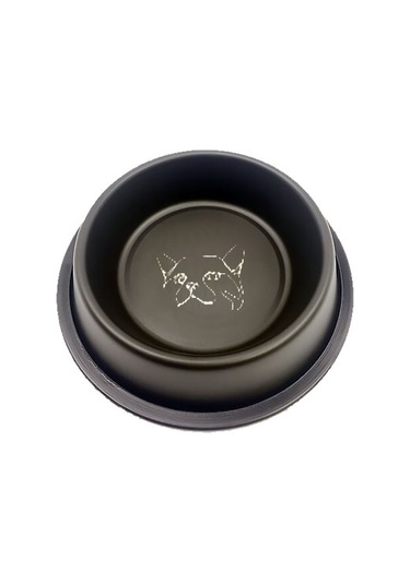 Asr Fpcl 32 Oz Lazer İşlemeli Mama Su Kabı