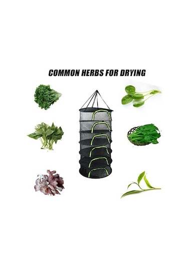 Didadodo 6 Katmanlı Katlanır Kuru Raf Bitki Kurutma Makinesi Çanta Örgü Sistemi Çiçekler Için A Sepet Çok Amaçlı Düzen. 56657121 Diğer