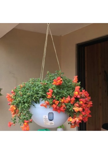 Rogfer Asma Plastik Saksılar Asılı Saksılar Asılı Zincirle Saksı Saksı, Büyük Boy: 24 X 18cm, Rastgele Renk Teslimatı