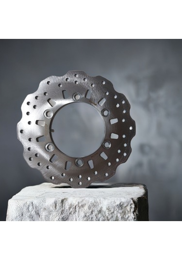 Regal Raptor Dd250E - Mr Destro 250 Arka Fren Diski