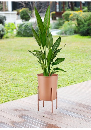 The Mia Suelo Vazo Saksı Terracota 32x47 Cm