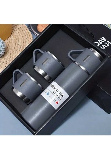 Novahub Paslanmaz Çelik Vakumlu Termos Set, 500ml/16.9oz, Çift Duvarlı İzole Bardak, İş-ofis-okul İçin, Sıcak-soğuk Gri Gri