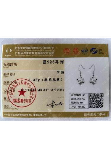 925 Ayar Gümüş Aaa Zirkon Kare Damla Küpe Takı