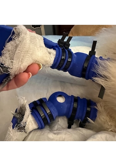 Brightnova Siyah Tavuk Veya Ördek Bütün But Ve Ayak Splinti