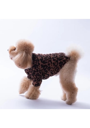 Pawstar Sri Lanka Küçük Irk Köpek Pofuduk Ceketi