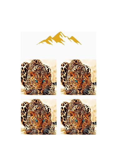 Dijital Baskılı Yumuşak Dokulu 4 Lü Kırlent Kılıfı Takımı 43x43 Cm Krl0024 Renkli