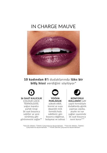 Power Stay Kremsi Vinyl Likit Ruj - In Charge Mauve 0