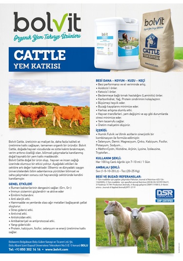 Bolvit Cattle - 20 Litre -  Büyükbaş&Küçükbaş
