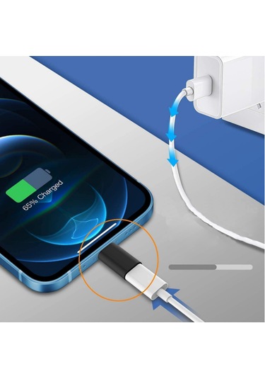 Nettech Micro Usb To Lightning Dönüştürücü Siyah Siyah