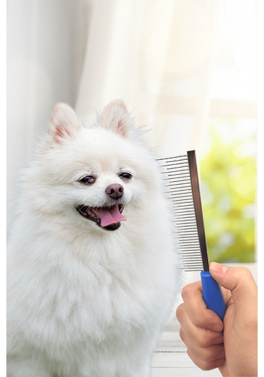 Kedi Tarağı Köpek Tarağı Kedi Köpek Tüy Açıcı